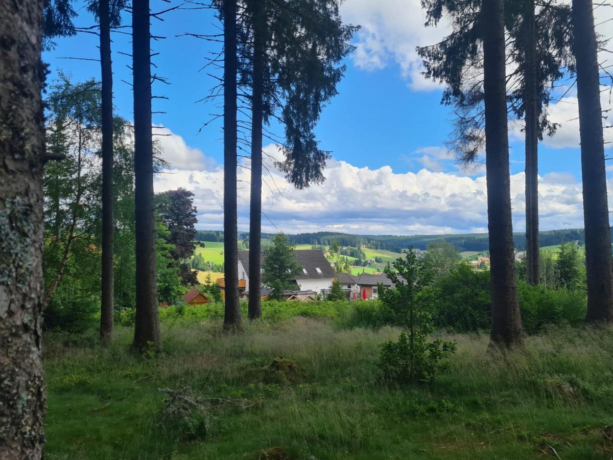 Ferienwohnung 'S Stueble Schoenwald im Schwarzwald Exterior photo